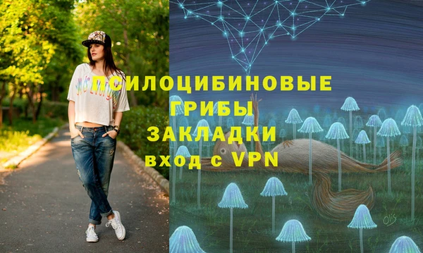 дмт Няндома