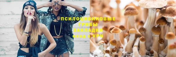 spice Нязепетровск