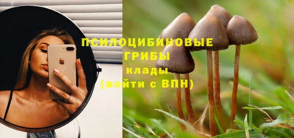 spice Нязепетровск