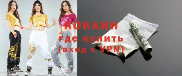 дмт Няндома