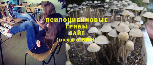дмт Няндома