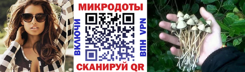 Галлюциногенные грибы мухоморы  Луга 