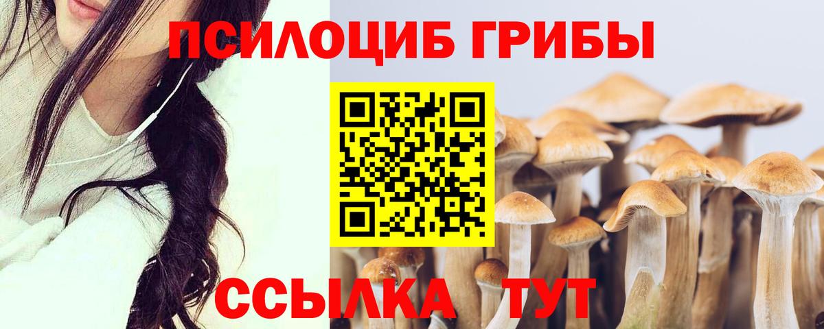 Луга  Галлюциногенные грибы GOLDEN TEACHER  Вход с VPN 