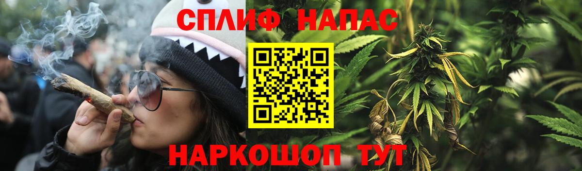 Марихуана SATIVA & INDICA  Вход с VPN  Луга  Марихуана MAZAR 